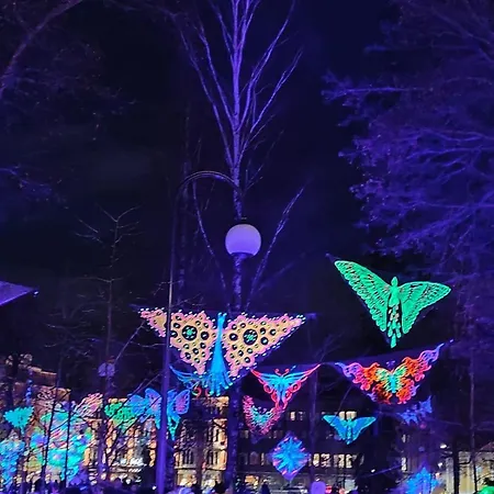 Luxury House Vaahtoranta On The Shore 쿠오피오