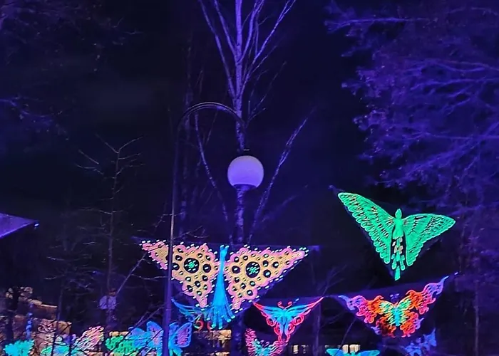 Luxury House Vaahtoranta On The Shore Kuopio