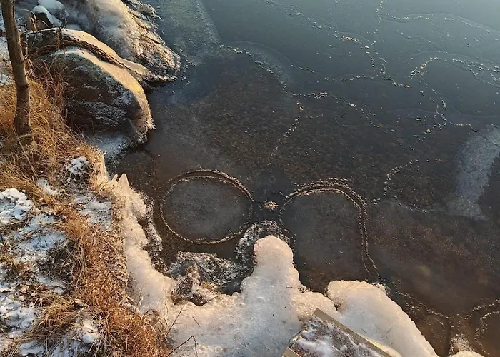 Luxury House Vaahtoranta On The Shore * Kuopio