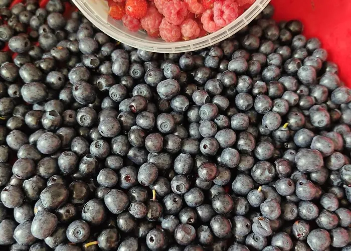 Luxury House Vaahtoranta On The Shore Kuopio